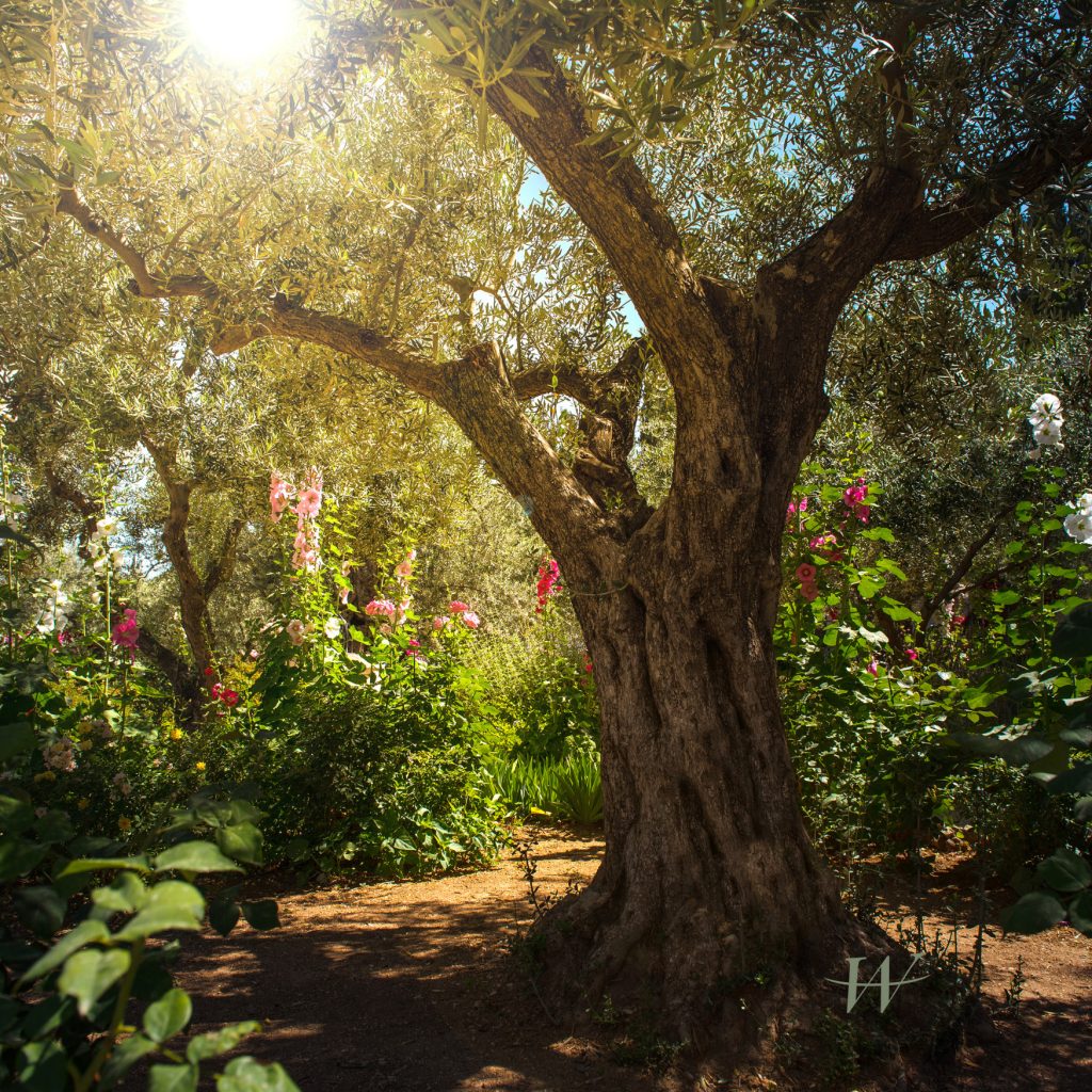 Stille dag - In ons Leerhuis bieden we een plek waar je aandachtig aanwezig kunt zijn in stilte, even stilstaan, en ervaren wat dat met je doet.