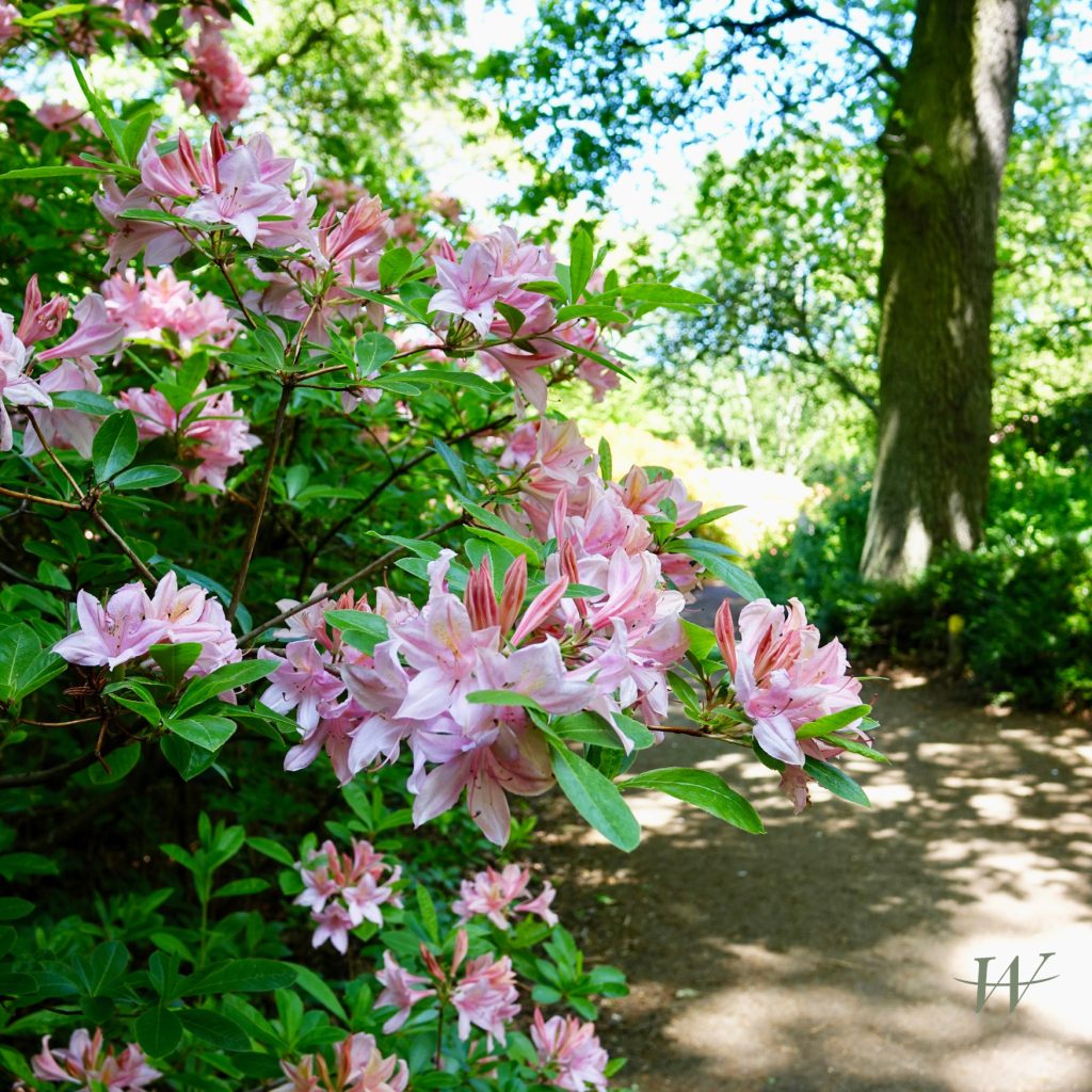 Stille dag - In ons Leerhuis bieden we een plek waar je aandachtig aanwezig kunt zijn in stilte, even stilstaan, en ervaren wat dat met je doet.