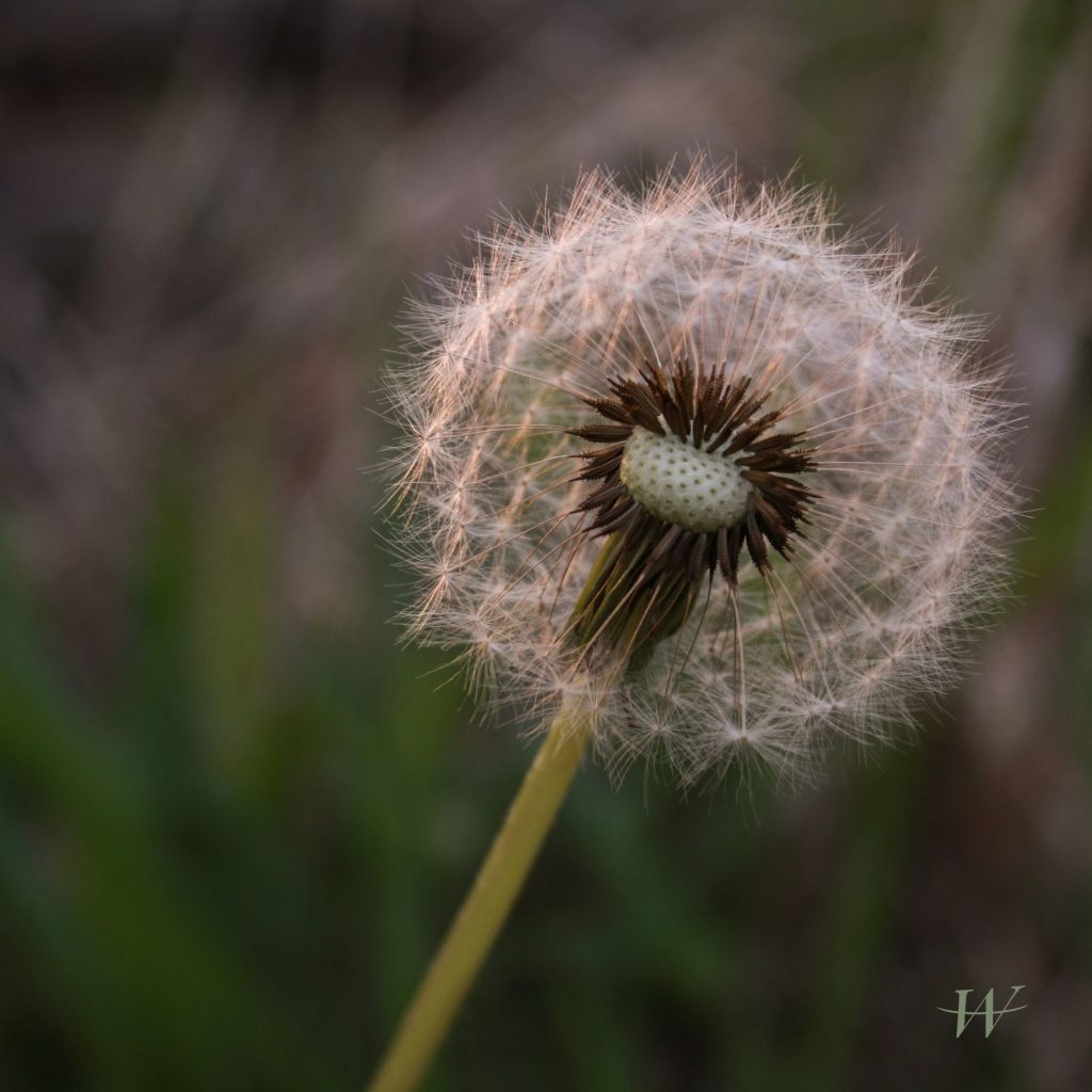 Van Binnenuit. Met aandacht en zonder oordeel nemen we de tijd om te luisteren: naar onszelf, naar elkaar en naar wat ontstaat in de ruimte tussen ons